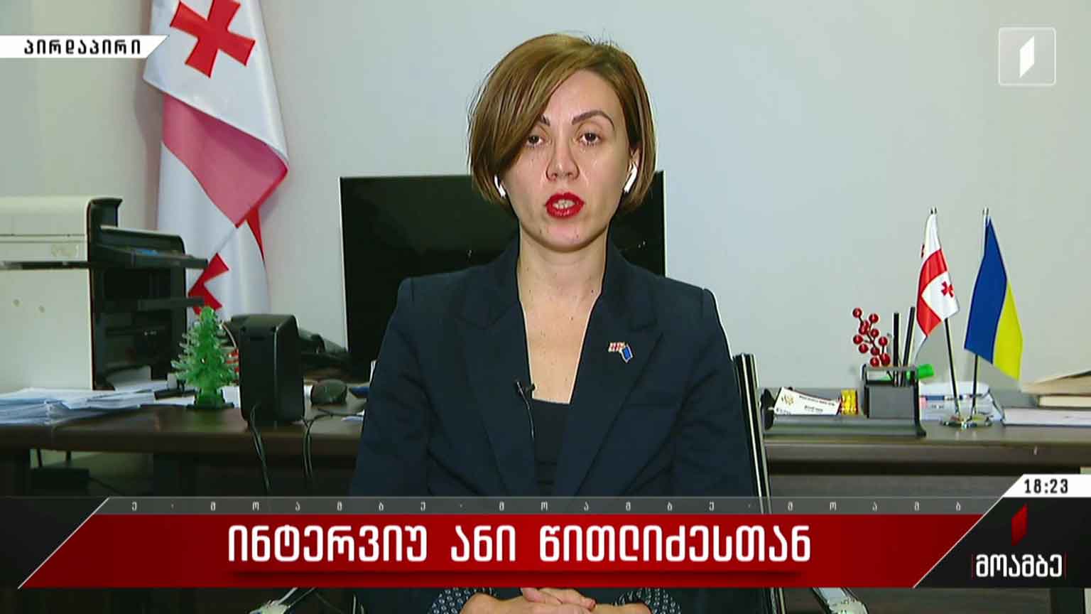 ინტერვიუ ანი წითლიძესთან
