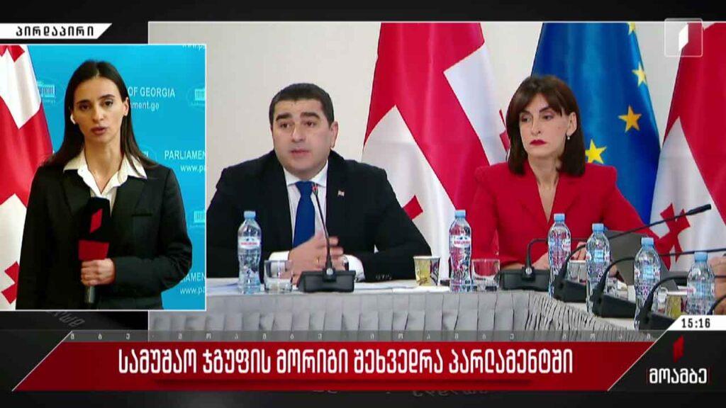 სამუშაო ჯგუფის მორიგი შეხვედრა პარლამენტში