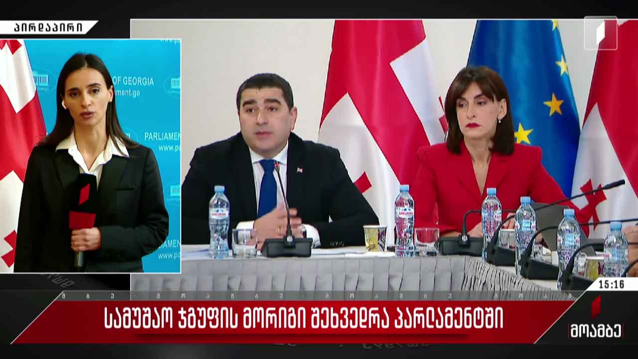 სამუშაო ჯგუფის მორიგი შეხვედრა პარლამენტში