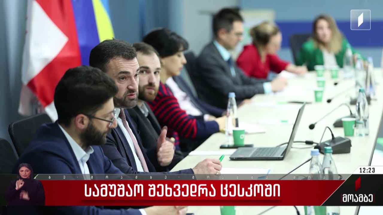 სამუშაო შეხვედრა ცესკო-ში