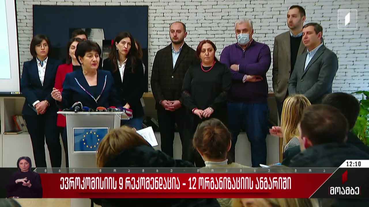 ევროკომისიის 9 რეკომენდაცია - 12 ორგანიზაციის ანგარიში
