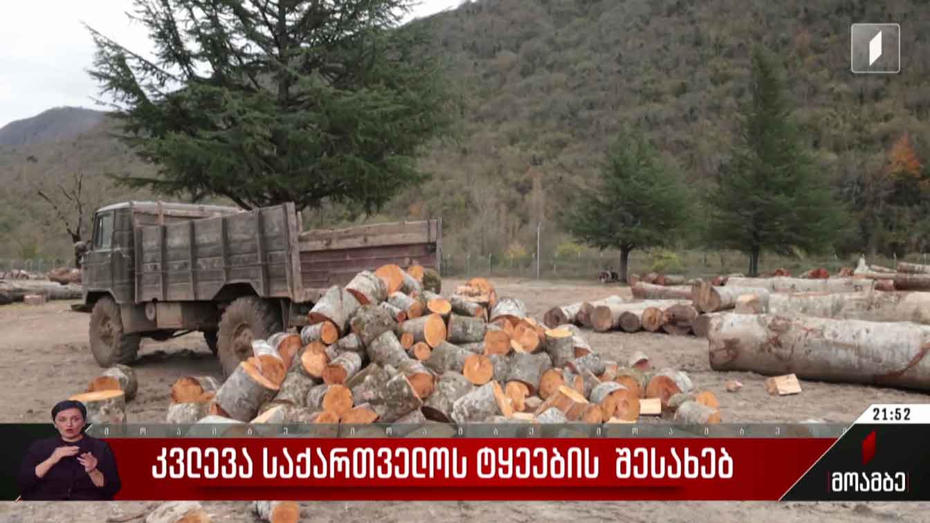 კვლევა საქართველოს ტყეების შესახებ