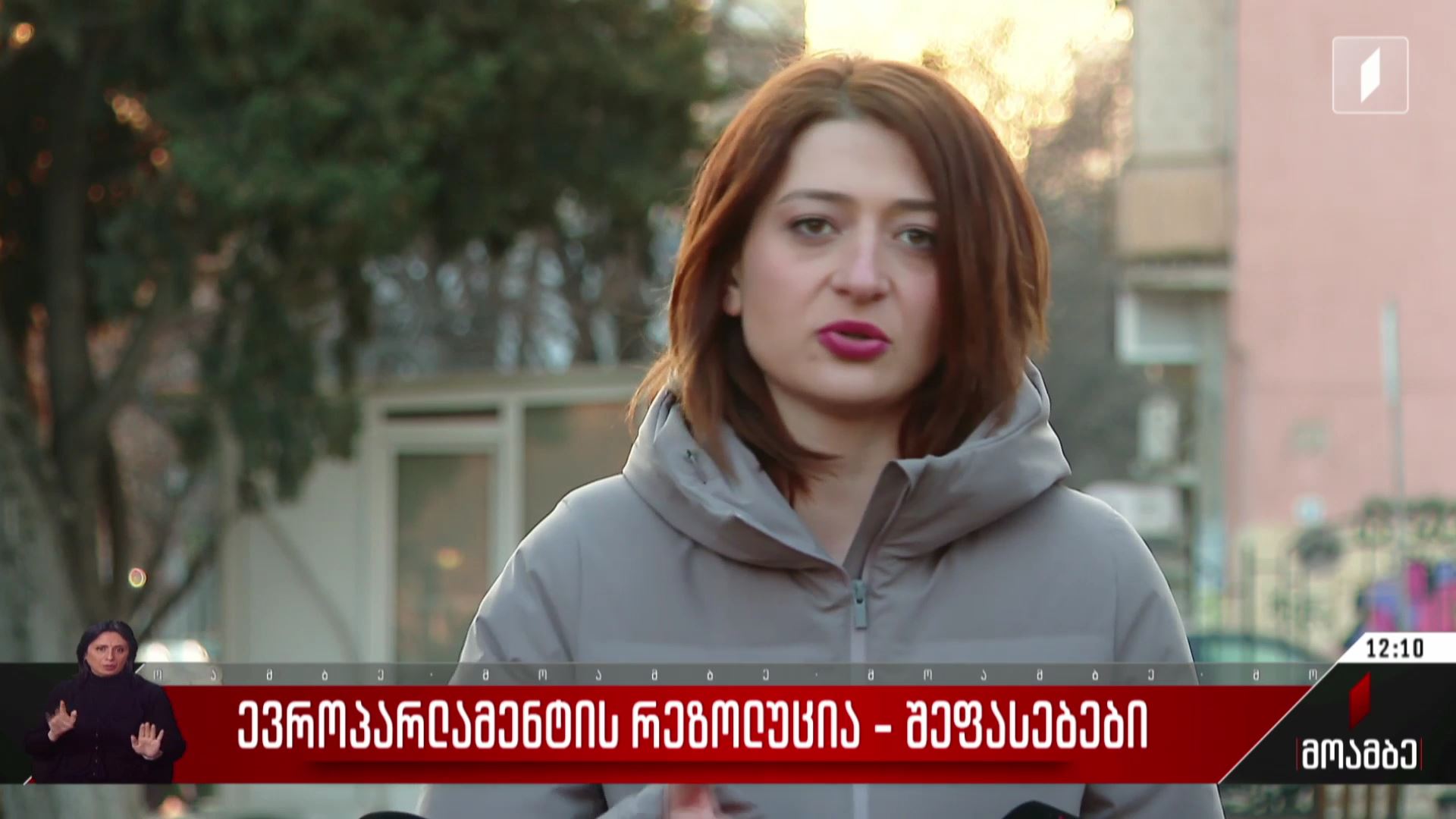 ევროპარლამენტის რეზოლუცია - შეფასებები პოლიტიკურ სპექტრში