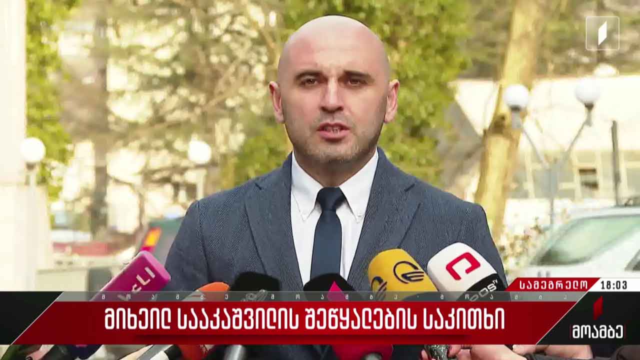 მიხეილ სააკაშვილის შეწყალების საკითხი