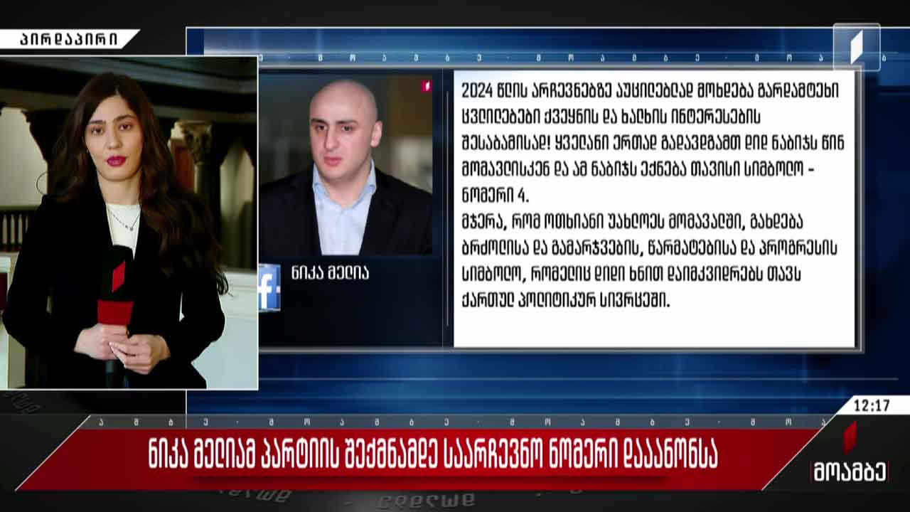 ნიკა მელიამ პარტიის შექმნამდე საარჩევნო ნომერი დააანონსა