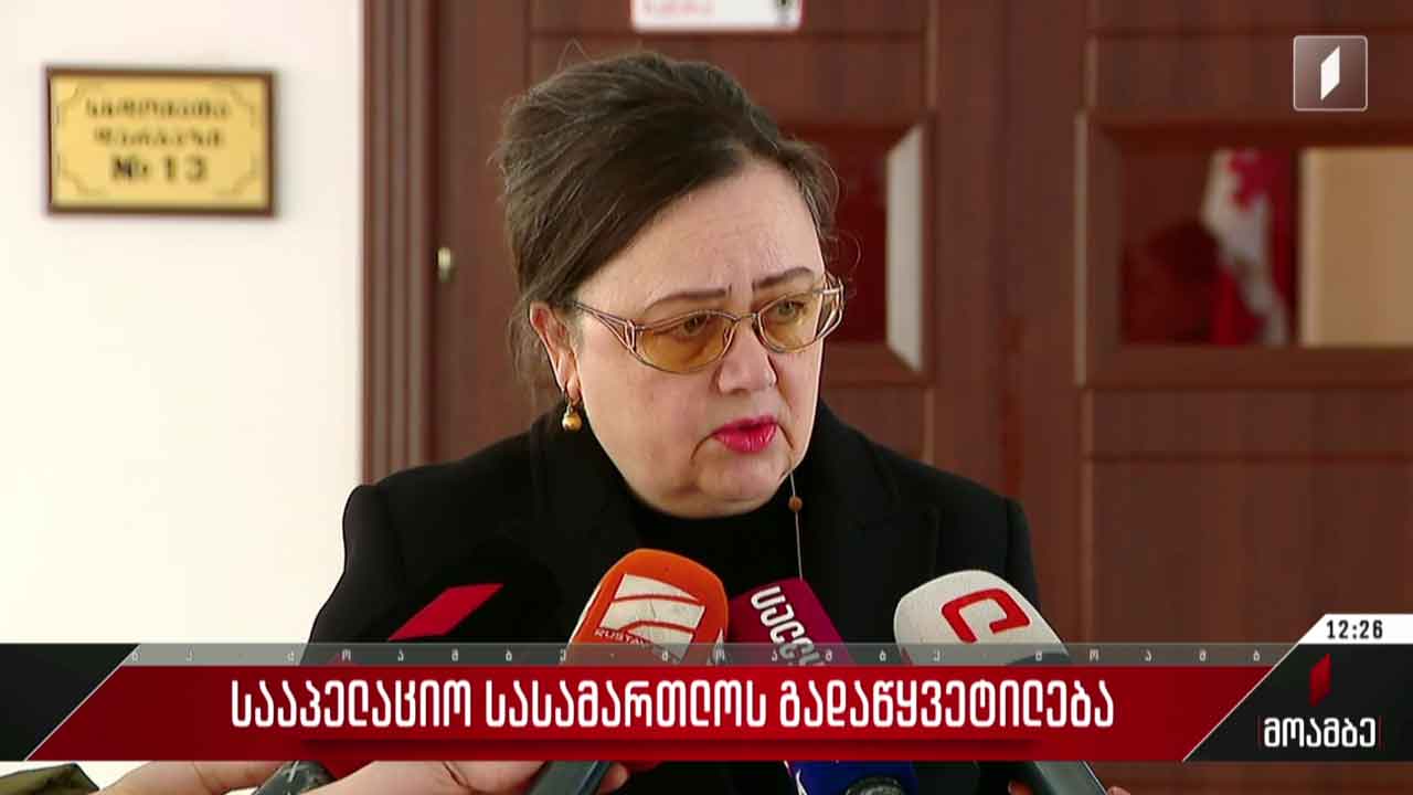 სააპელაციო სასამართლოს გადაწყვეტილება