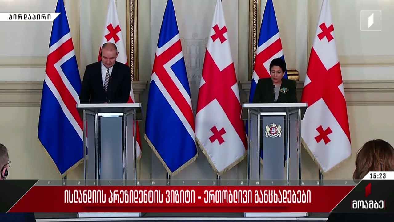 ისლანდიის პრეზიდენტის ვიზიტი - ერთობლივი განცხადებები