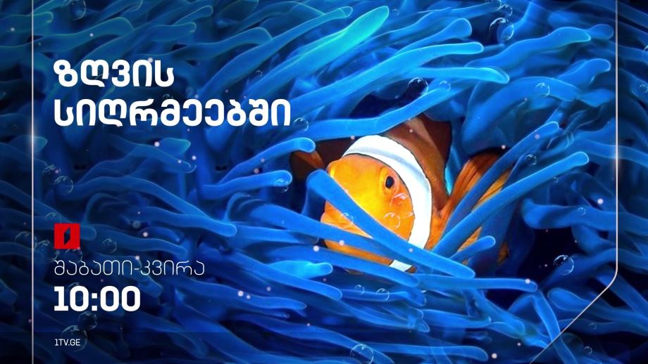 „ზღვის სიღრმეებში“ – ყოველ შაბათ-კვირას, 10:00