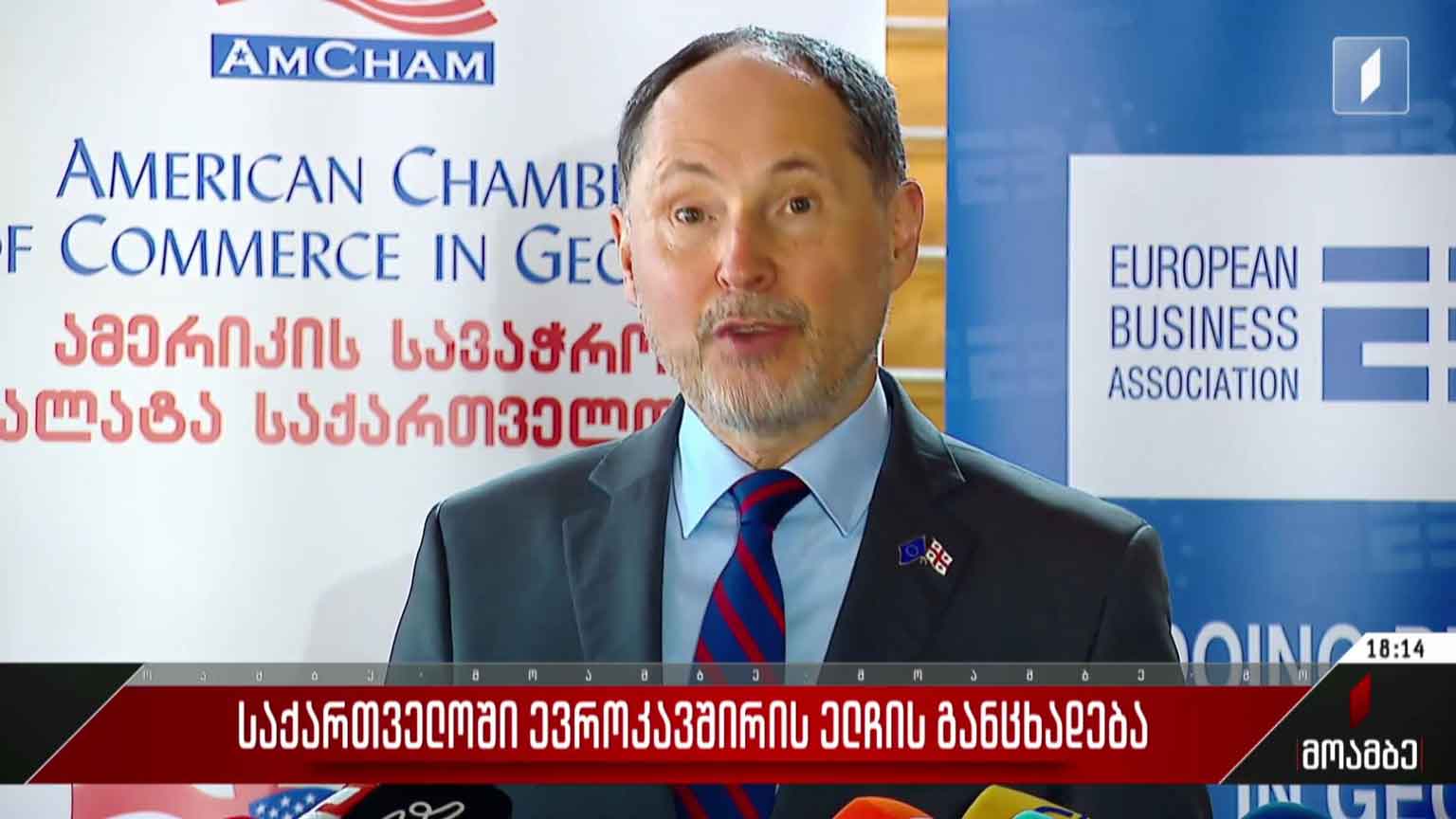 საქართველოში ევროკავშირის ელჩის განცხადება