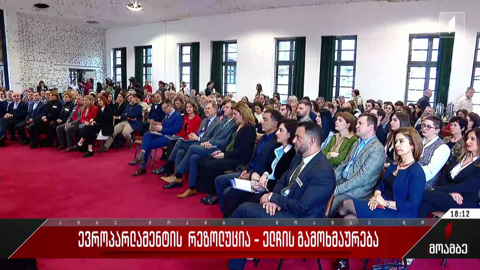 ევროპარლამენტის რეზოლუცია - ელჩის გამოხმაურება