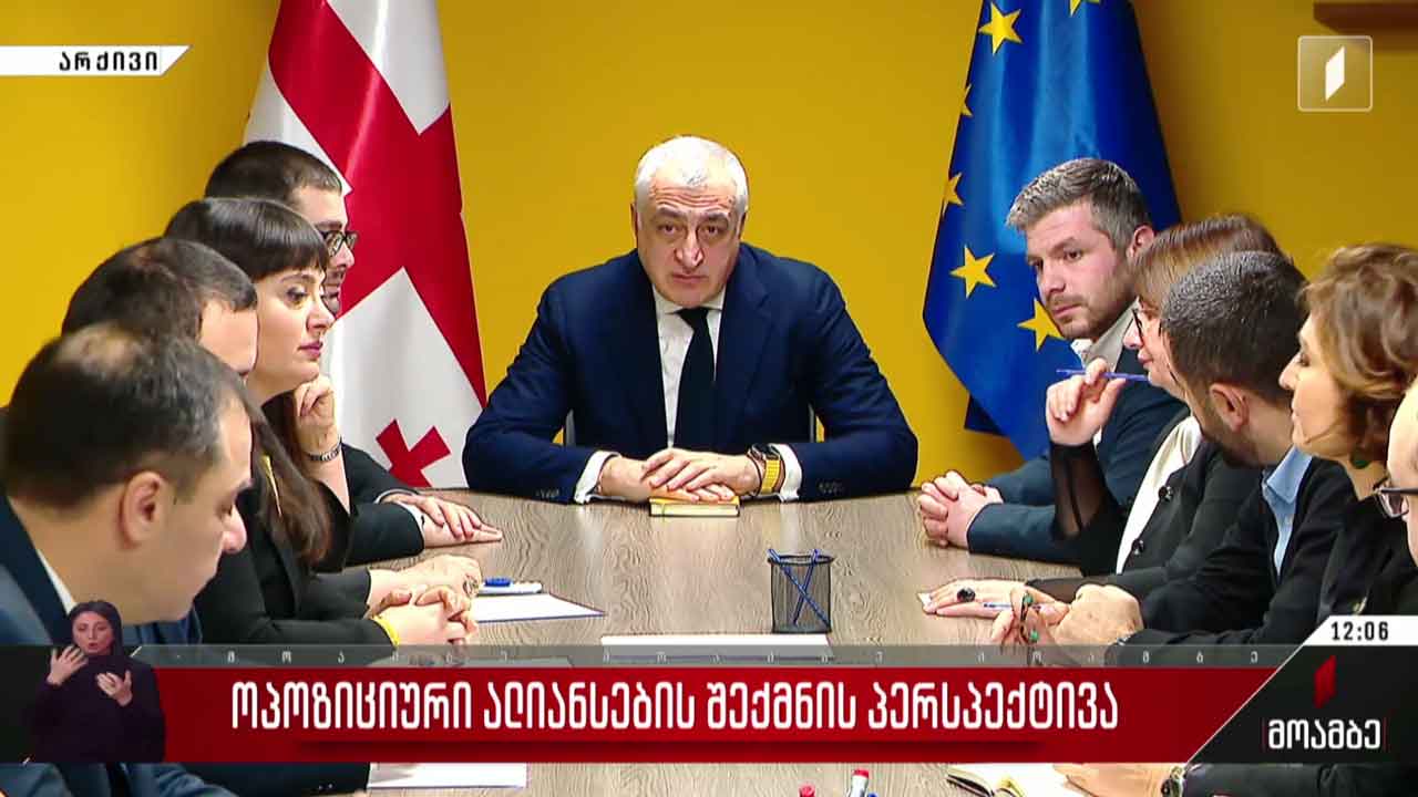 ოპოზიციური ალიანსების შექმნის პერსპექტივა