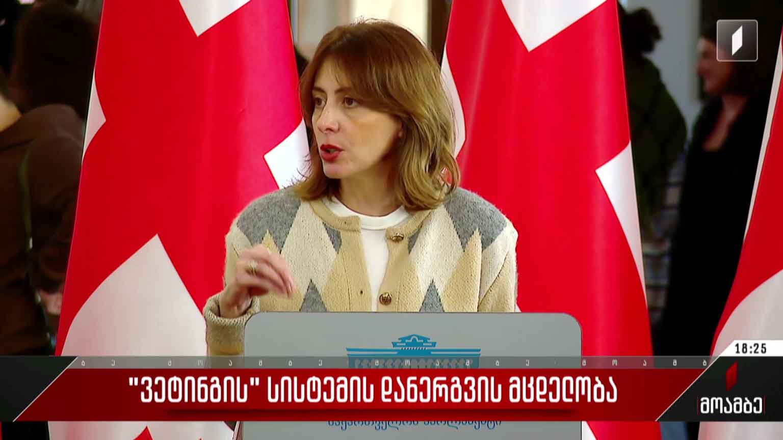 „ვეტინგის“ სისტემის დანერგვის მცდელობა