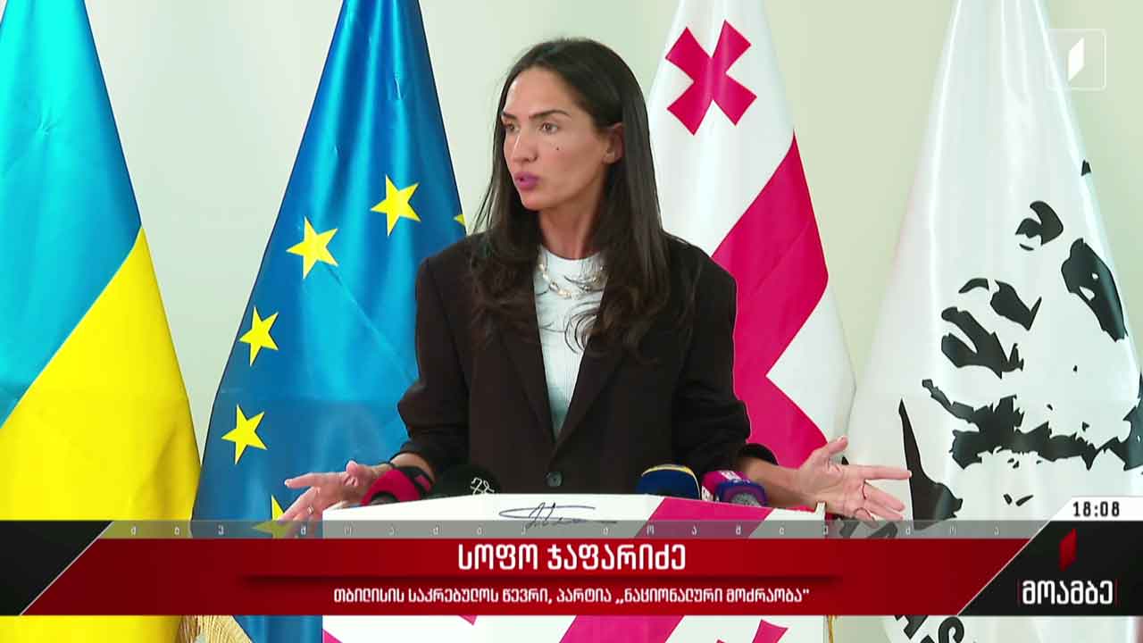 ახალი ოპოზიციური მოძრაობა - პოლიტიკური შეფასებები