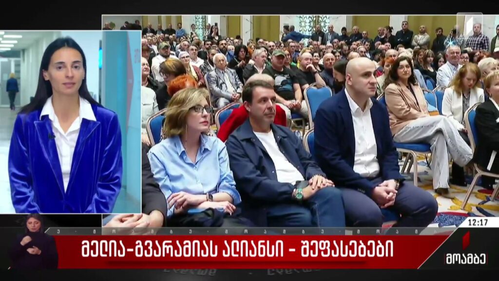 მელია-გვარამიას ალიანსი – შეფასებები პოლიტიკურ სპექტრში