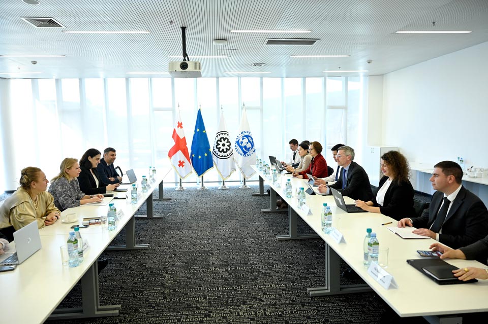 ნათია თურნავა საერთაშორისო სავალუტო ფონდის მისიას შეხვდა