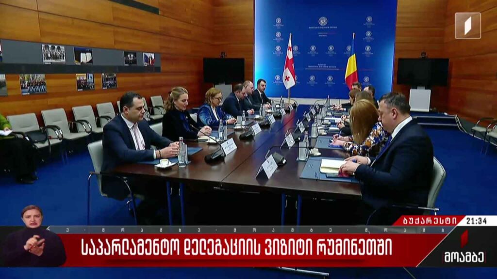 საპარლამენტო დელეგაციის ვიზიტი რუმინეთში