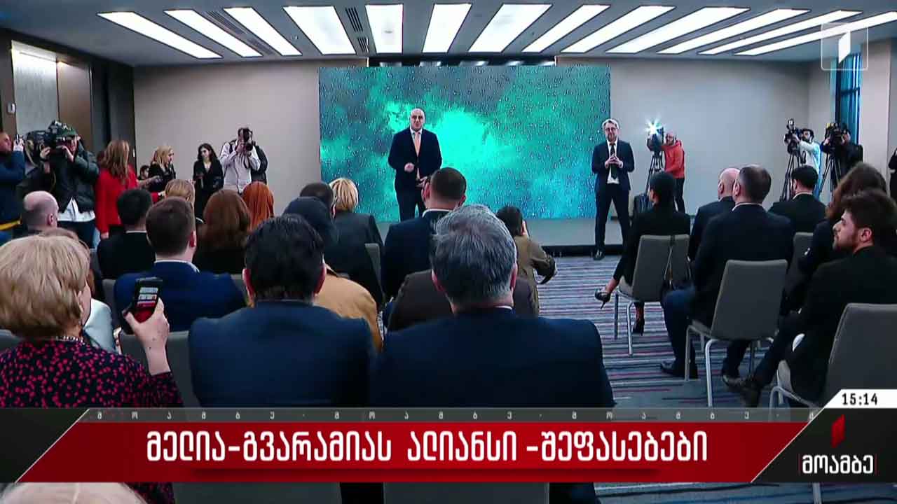 მელია-გვარამიას ალიანსი - შეფასებები