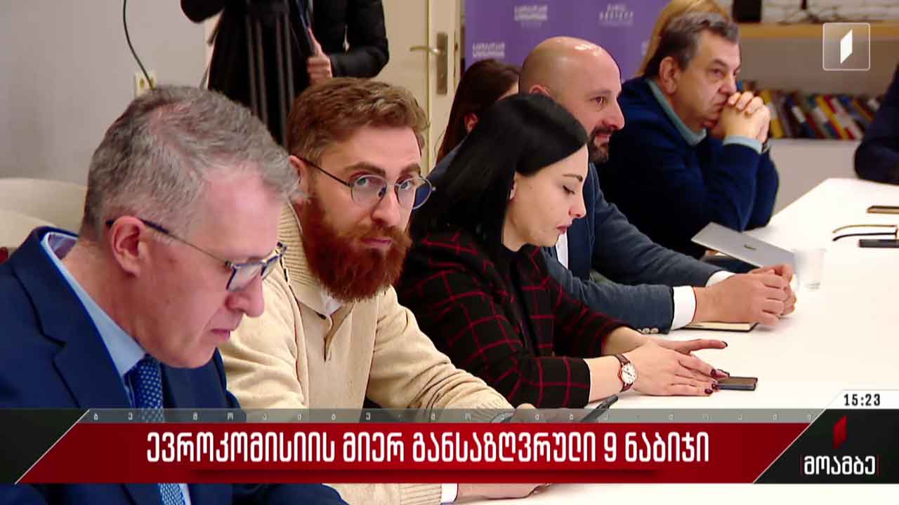 ევროკომისიის მიერ განსაზღვრული ცხრა ნაბიჯი
