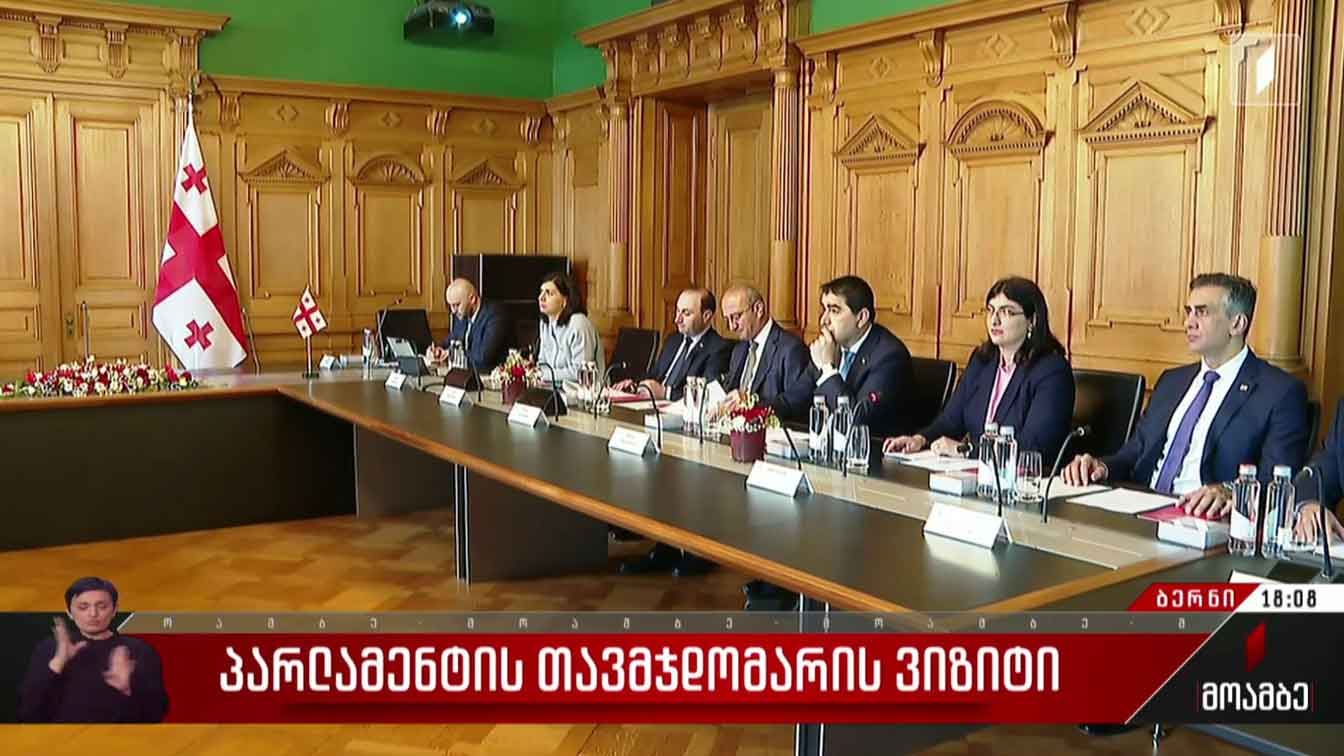 პარლამენტის თავმჯდომარის ვიზიტი