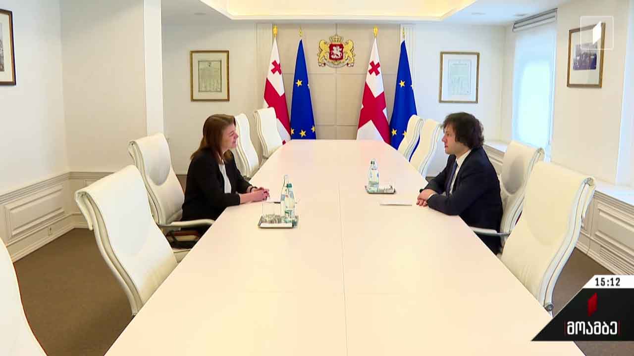 ირაკლი კობახიძე საქართველოში დანიის სამეფოს ელჩს შეხვდა