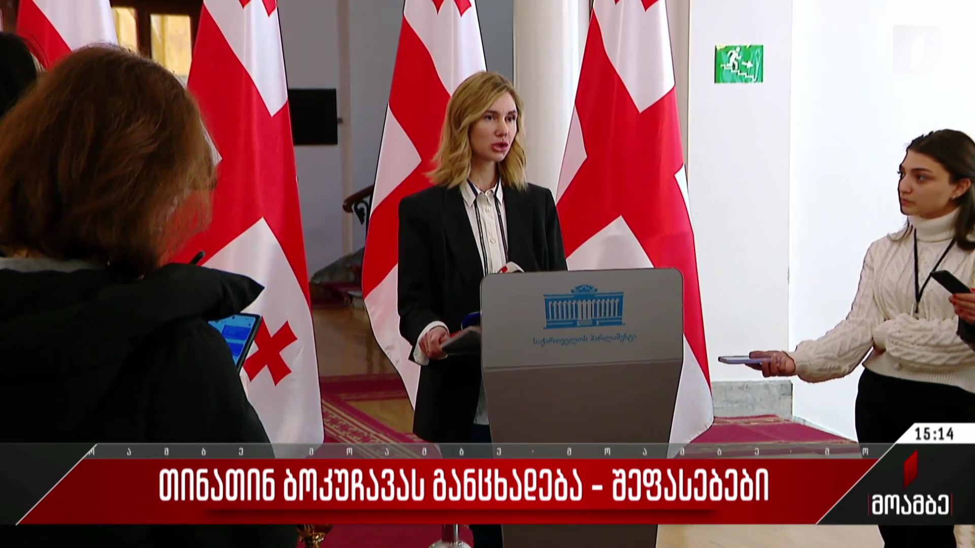 თინათინ ბოკუჩავას განცხადება - შეფასებები პოლიტიკურ სპექტრში