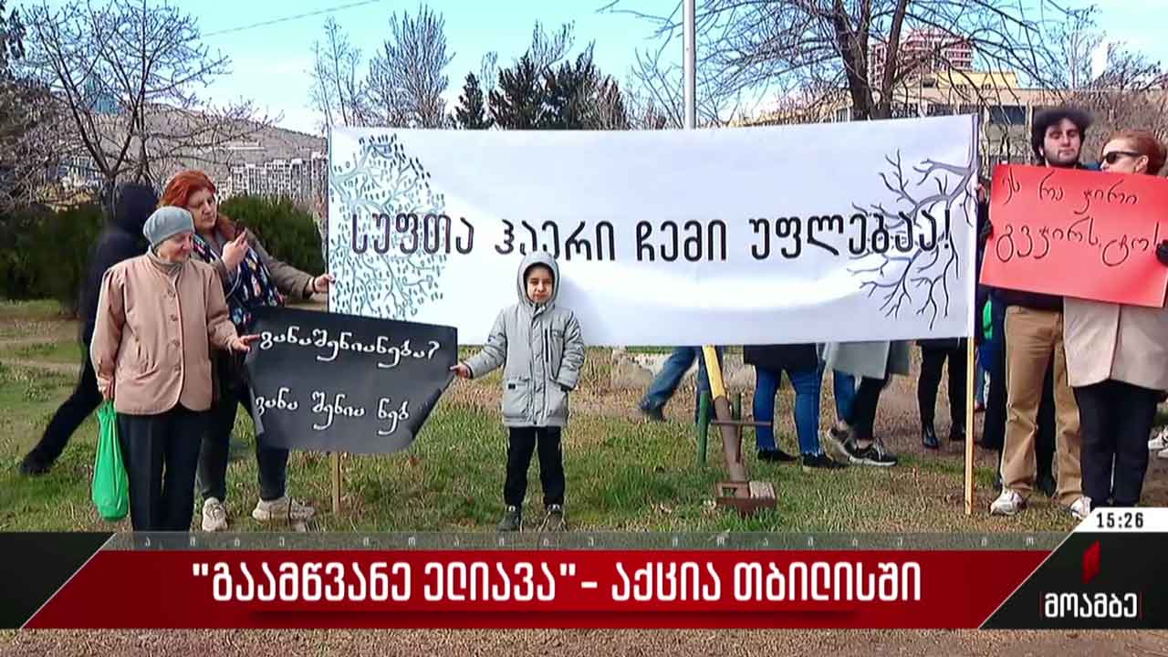 „გაამწვანე ელიავა“ - აქცია თბილისში