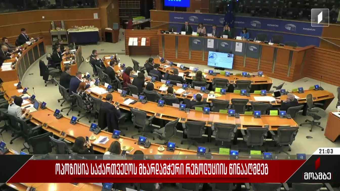 ოპოზიცია საქართველოს მხარდამჭერი რეზოლუციის წინააღმდეგ