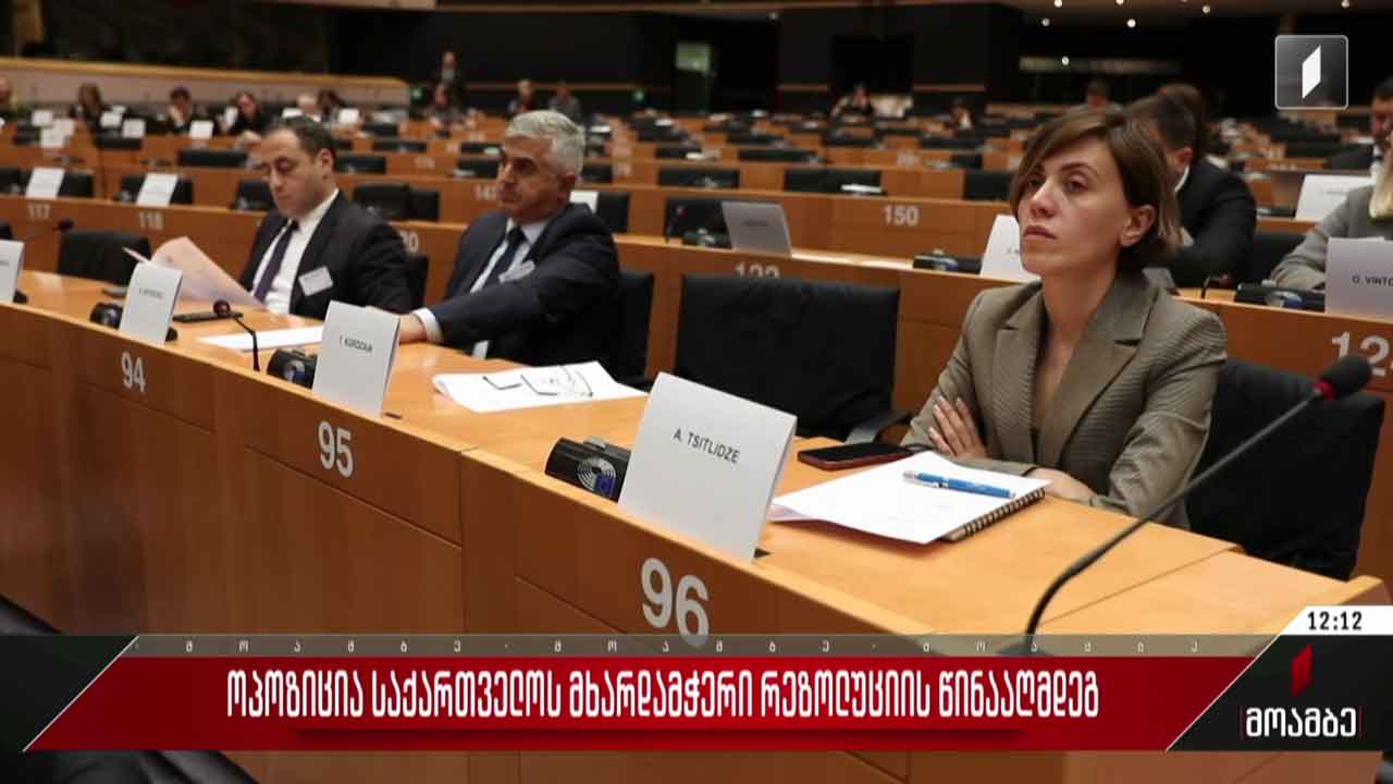ოპოზიცია საქართველოს მხარდამჭერი რეზოლუციის წინააღმდეგ