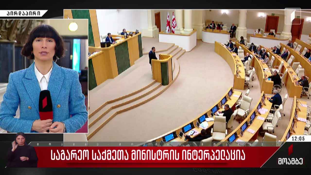 საგარეო საქმეთა მინისტრის ინტერპელაცია