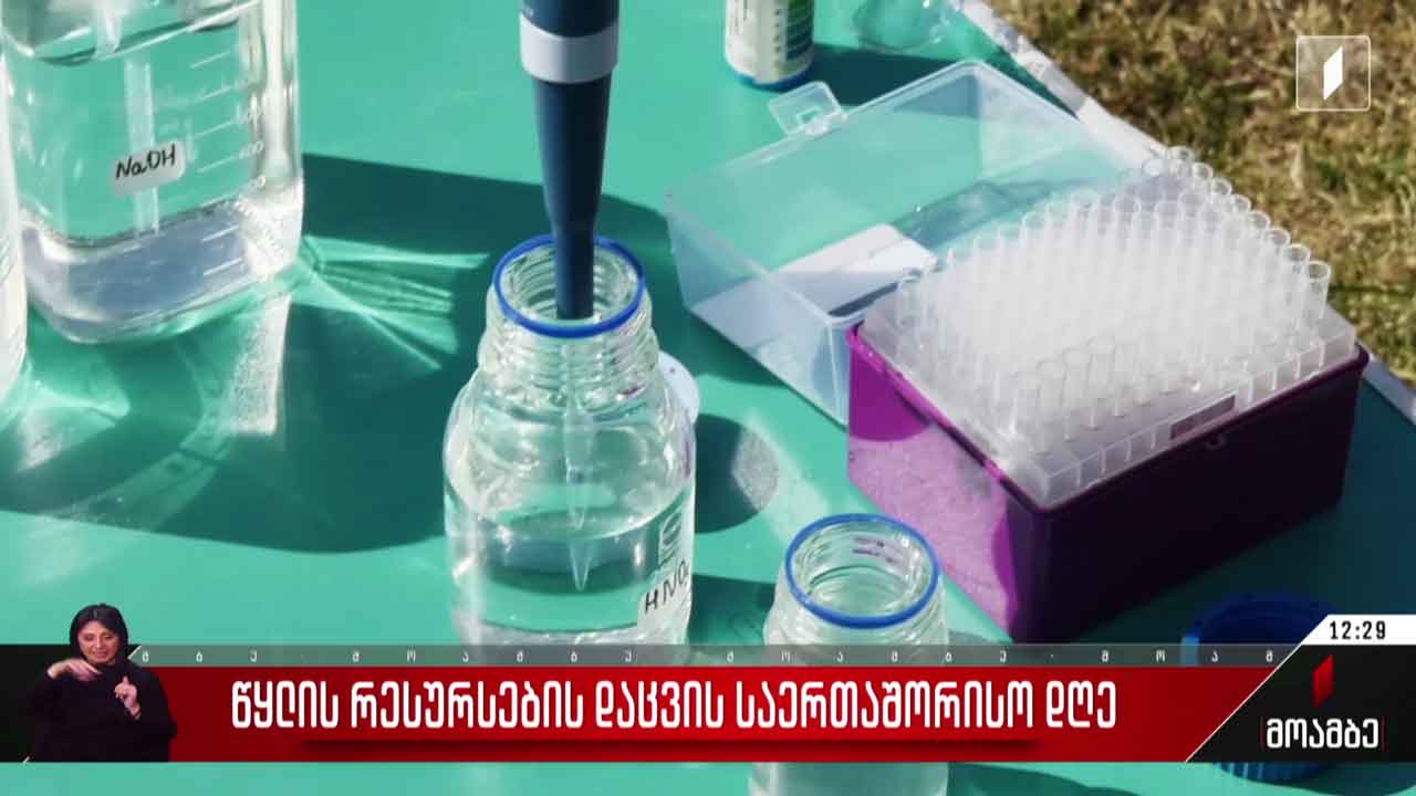 წყლის რესურსების დაცვის საერთაშორისო დღე