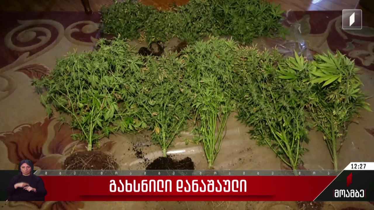 გახსნილი დანაშაული