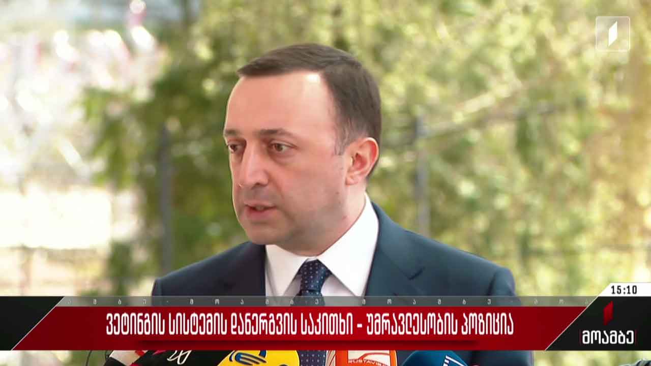 „ვეტინგის“ სისტემის დანერგვის საკითხი - უმრავლესობის პოზიცია