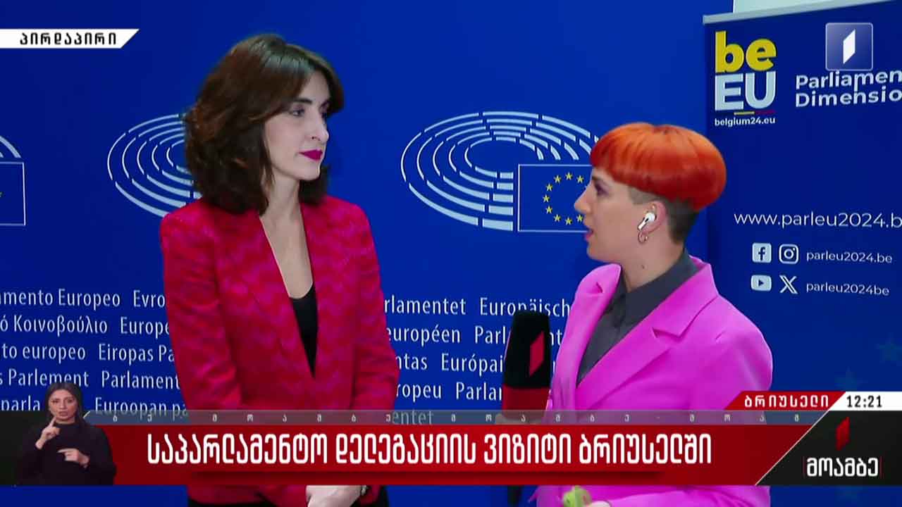საპარლამენტო დელეგაციის ვიზიტი ბრიუსელში