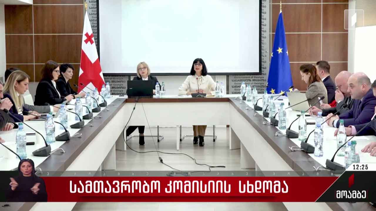 სამთავრობო კომისიის სხდომა