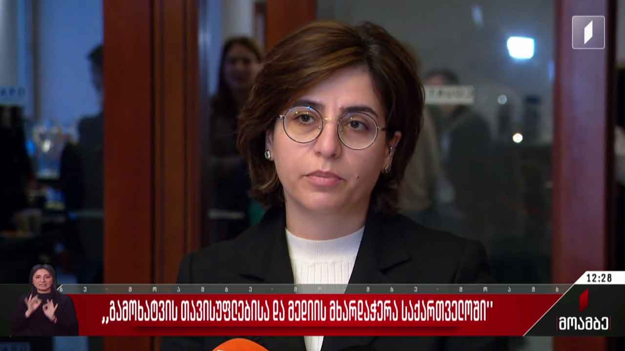 „გამოხატვის თავისუფლებისა და მედიის მხარდაჭერა საქართველოში“