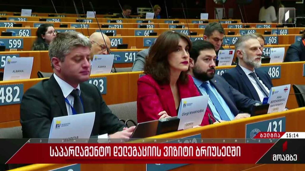 საპარლამენტო დელეგაციის ბრიუსელში ვიზიტი გრძელდება