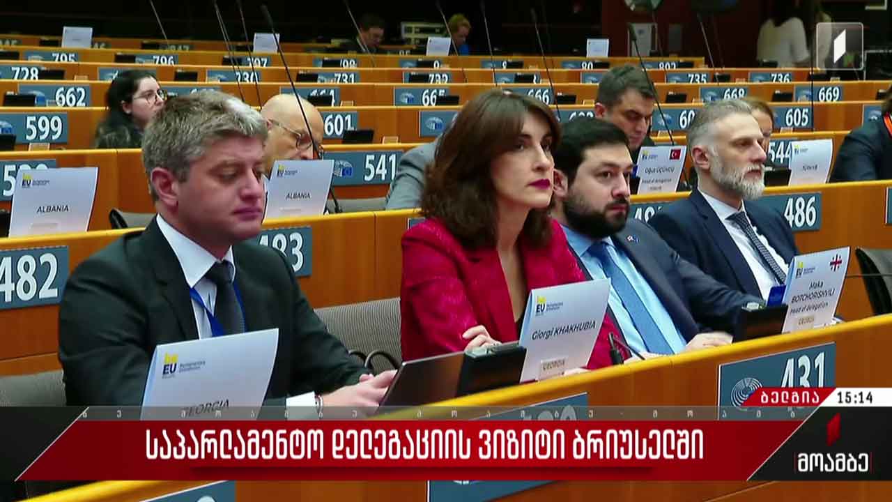 საპარლამენტო დელეგაციის ბრიუსელში ვიზიტი გრძელდება