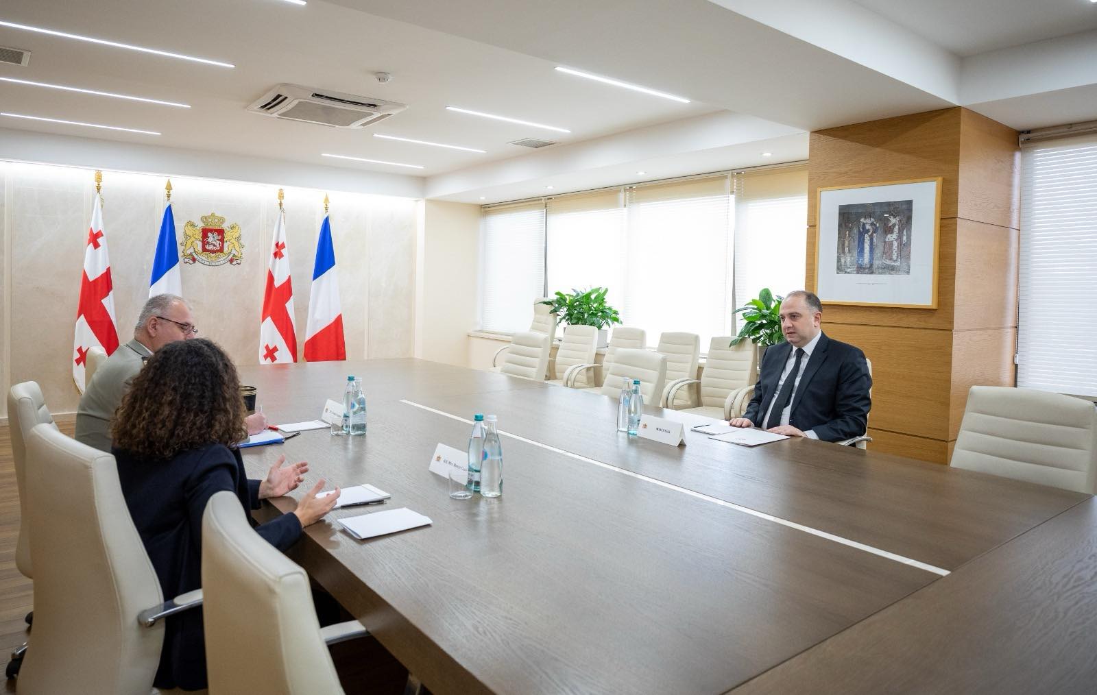 ირაკლი ჩიქოვანი საფრანგეთის რესპუბლიკის ელჩს შეხვდა