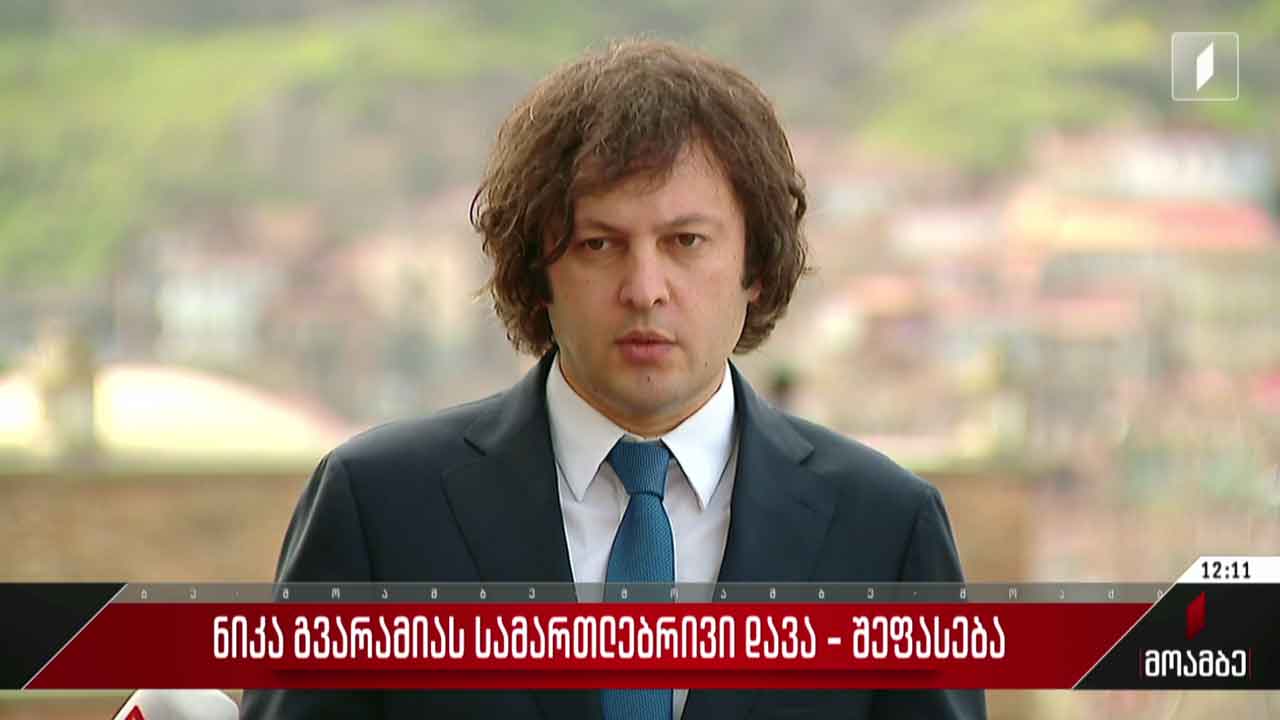 ნიკა გვარამიას სამართლებრივი დავა - შეფასება