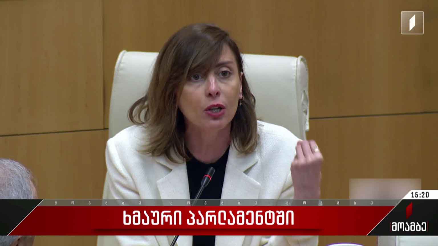 ხმაური პარლამენტში