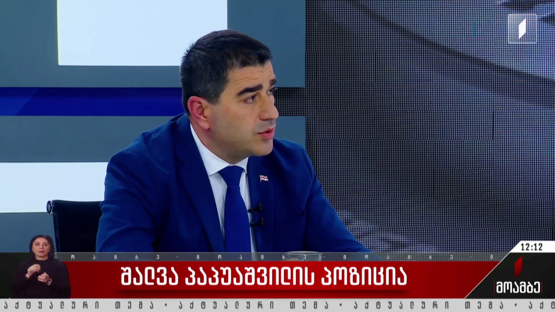 შალვა პაპუაშვილის პოზიცია