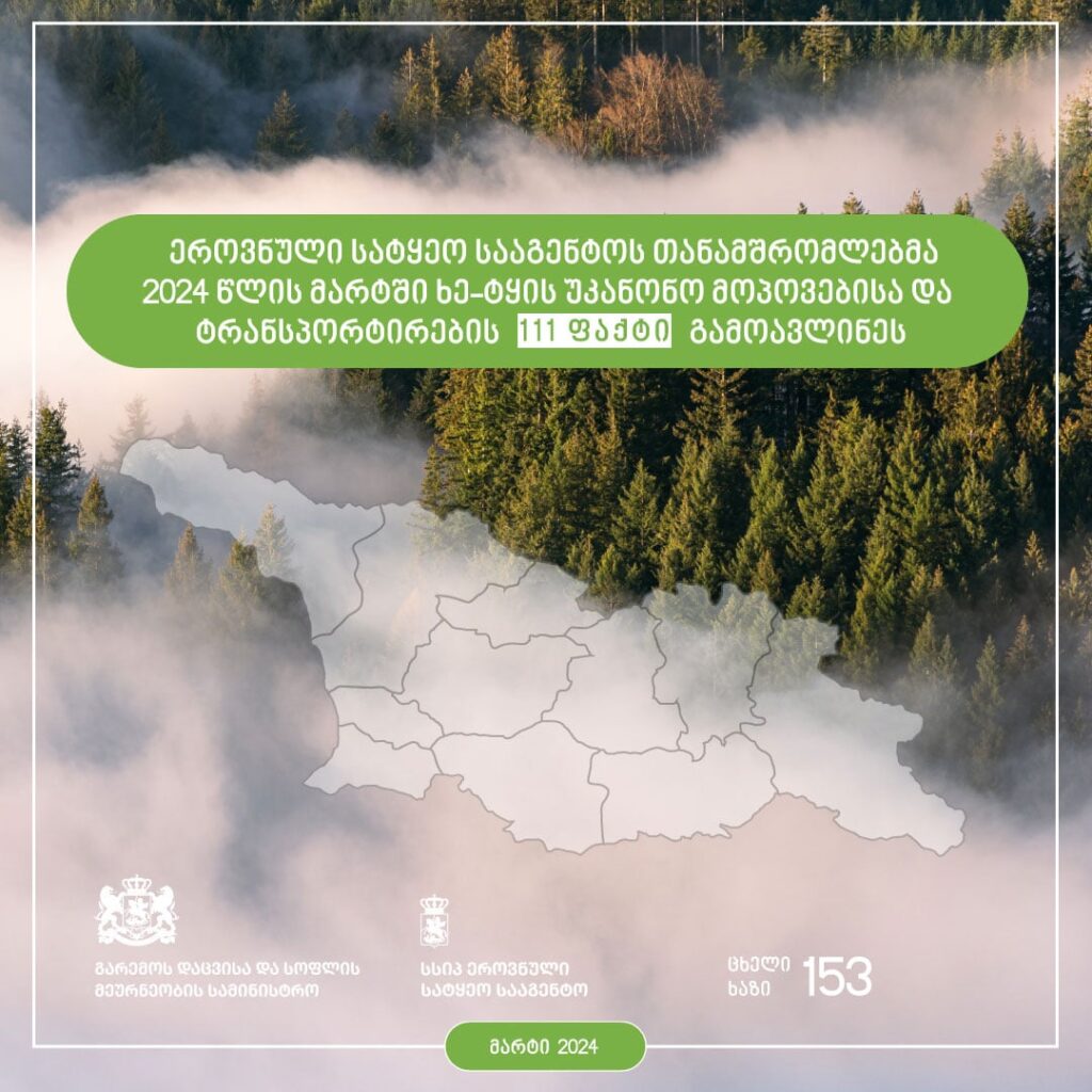 ეროვნული სატყეო სააგენტოს თანამშრომლებმა მიმდინარე წლის მარტში ხე-ტყის უკანონო მოპოვებისა და ტრანსპორტირების 111 ფაქტი გამოავლინეს