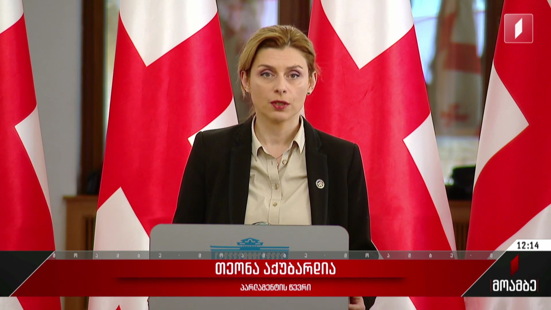 პარტია „საქართველოსთვის“ და აქუბარდიას ალტერნატიული კანონპროექტი