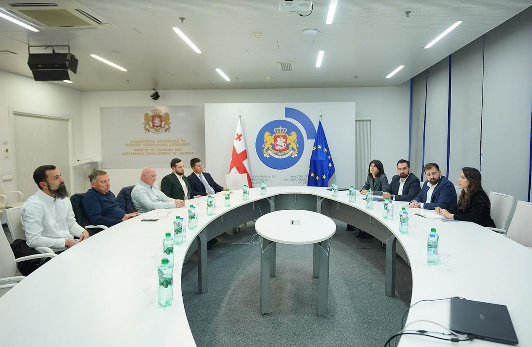 მარიამ ქვრივიშვილი - პრემიერ-მინისტრის დავალებით, აქტიურად ვმუშაობთ გულშემატკივრებისთვის ხელმისაწვდომი ფასებით გერმანიის მიმართულებით ფრენების დანიშვნაზე