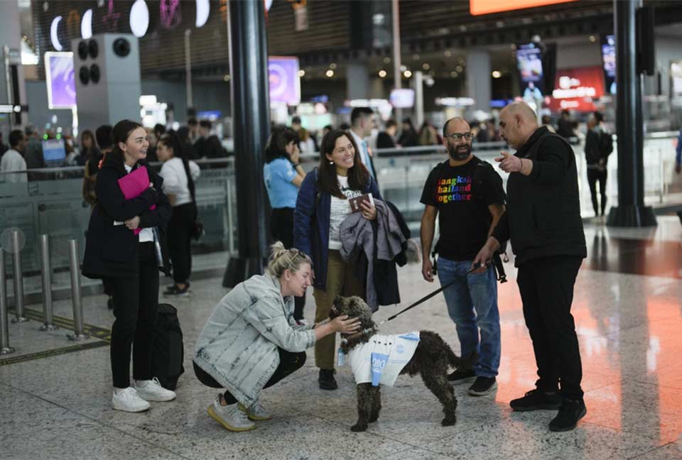 სტამბოლის აეროპორტში მგზავრებს სტრესისა და შფოთვის მოსახსნელად ძაღლებით დაეხმარებიან