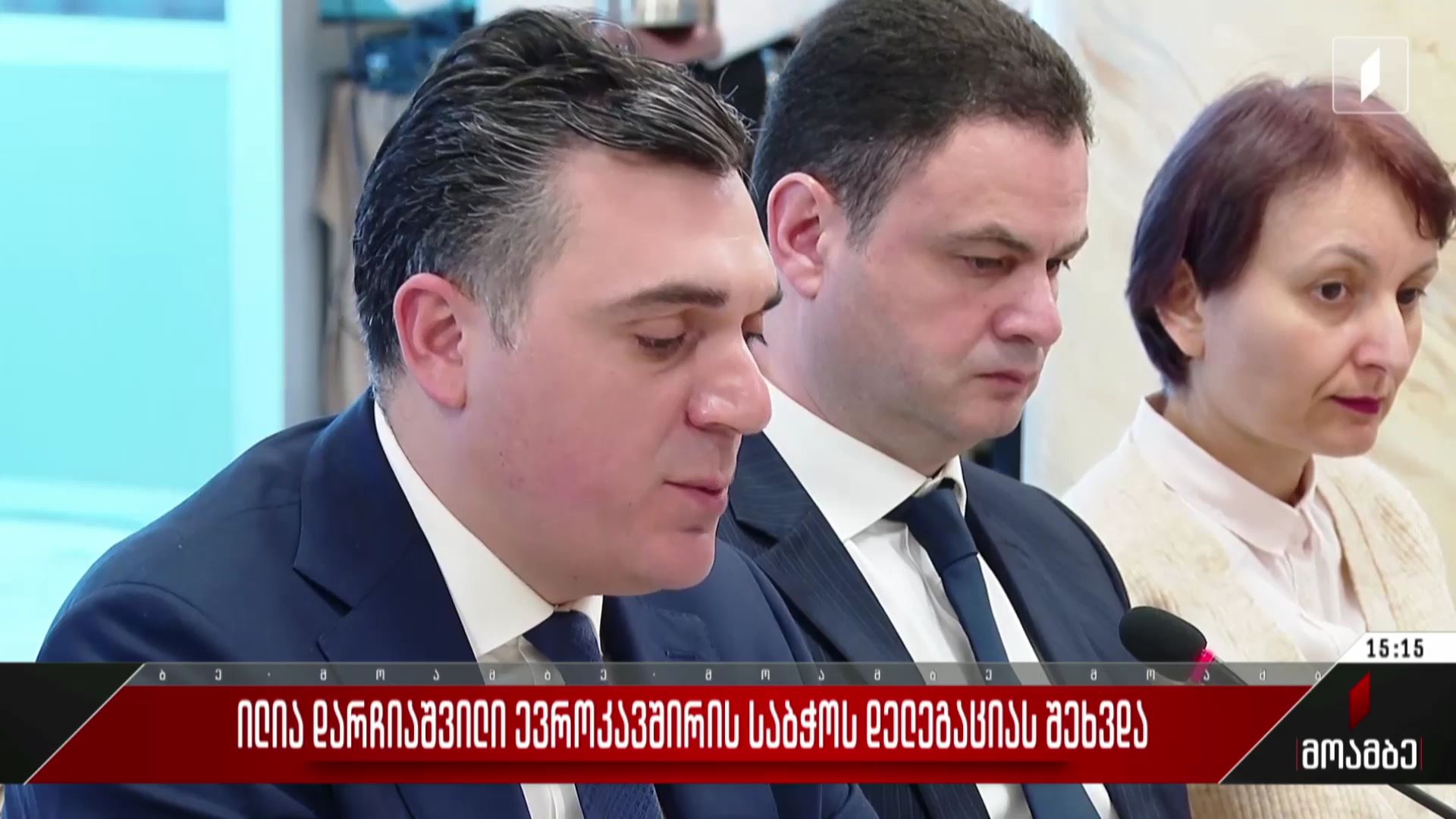 ილია დარჩიაშვილი ევროკავშირის საბჭოს დელეგაციას შეხვდა