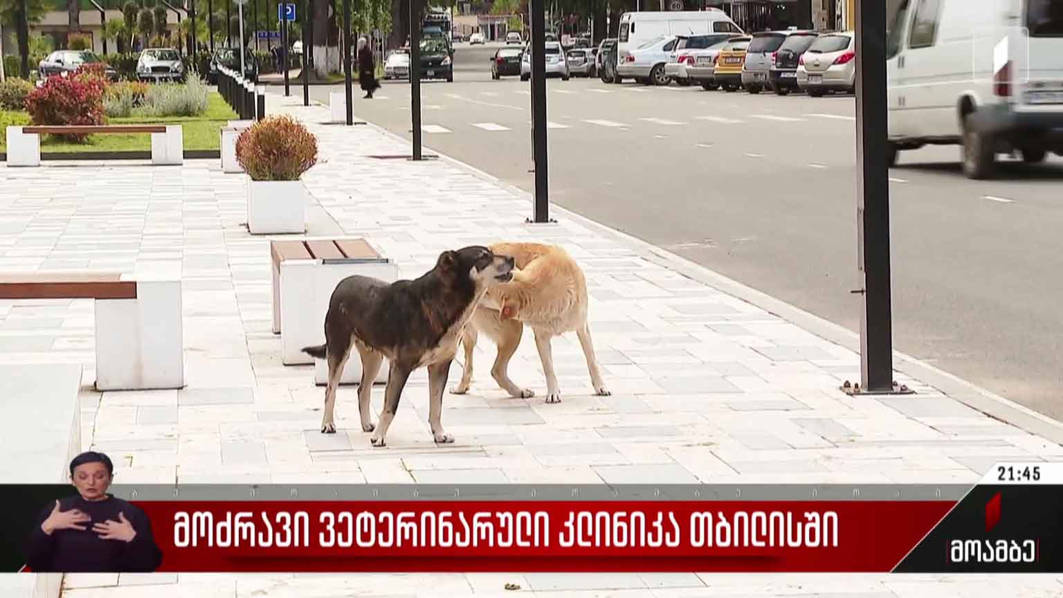 მოძრავი ვეტერინარული კლინიკა თბილისში
