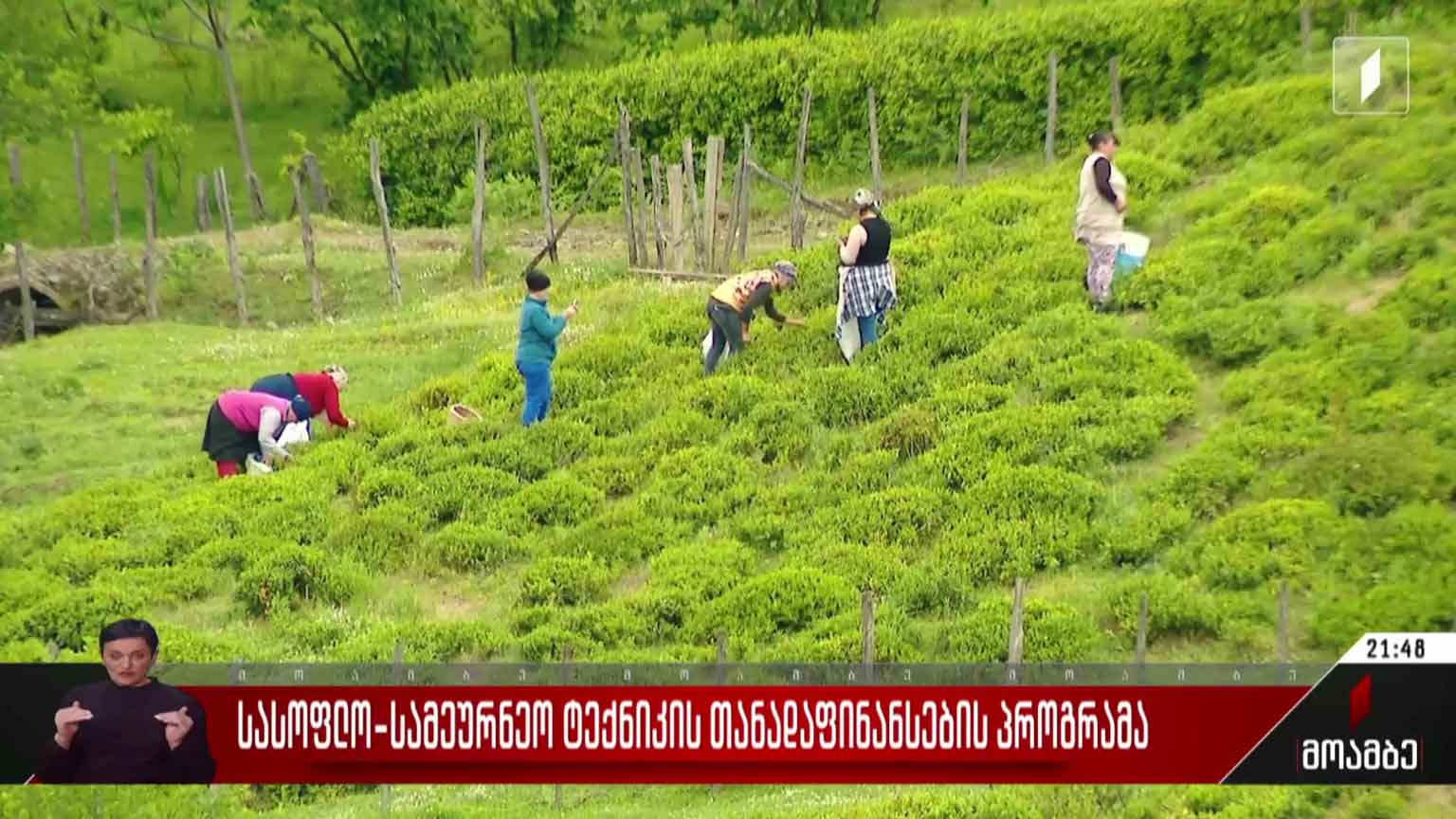 სასოფლო-სამეურნეო ტექნიკის თანადაფინანსების პროგრამა