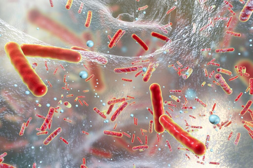შექმნეს ანტიბიოტიკის ახალი კლასი, რომელმაც თაგვებში სრულად მოსპო რეზისტენტული ბაქტერიები — #1tvმეცნიერება