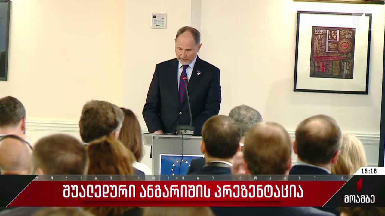 შუალედური ანგარიშის პრეზენტაცია